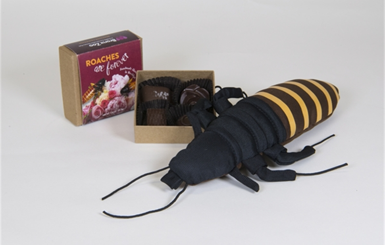 _Julie Larsen Maher_0780_Plush and Chocolate Roach Incentive Gifts_01 23 16.JPG